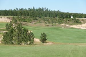 21 Club (El Boqueron) 16th Trees